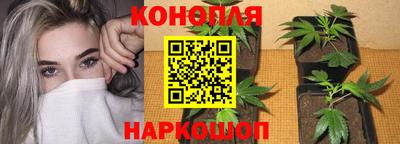 наркотики Гатчина